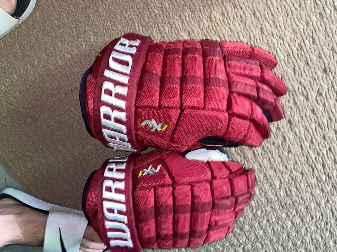 Used Warrior 15" Gloves