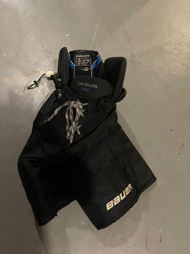 Senior Large Bauer Nexus 800 Hockey Pants
