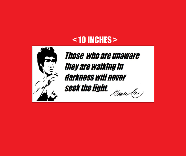 VINYL STICKER - Bruce Lee Martial Arts Motivation Quote Darkness Water