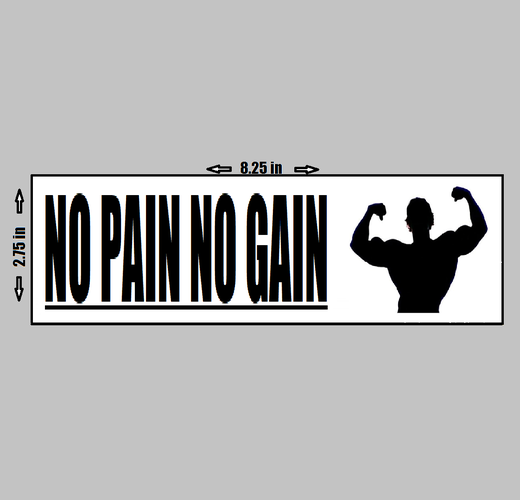 VINYL STICKER - Arnold Schwarzenegger No Pain No Gain Weight Lifting Motivation Gym Body Building