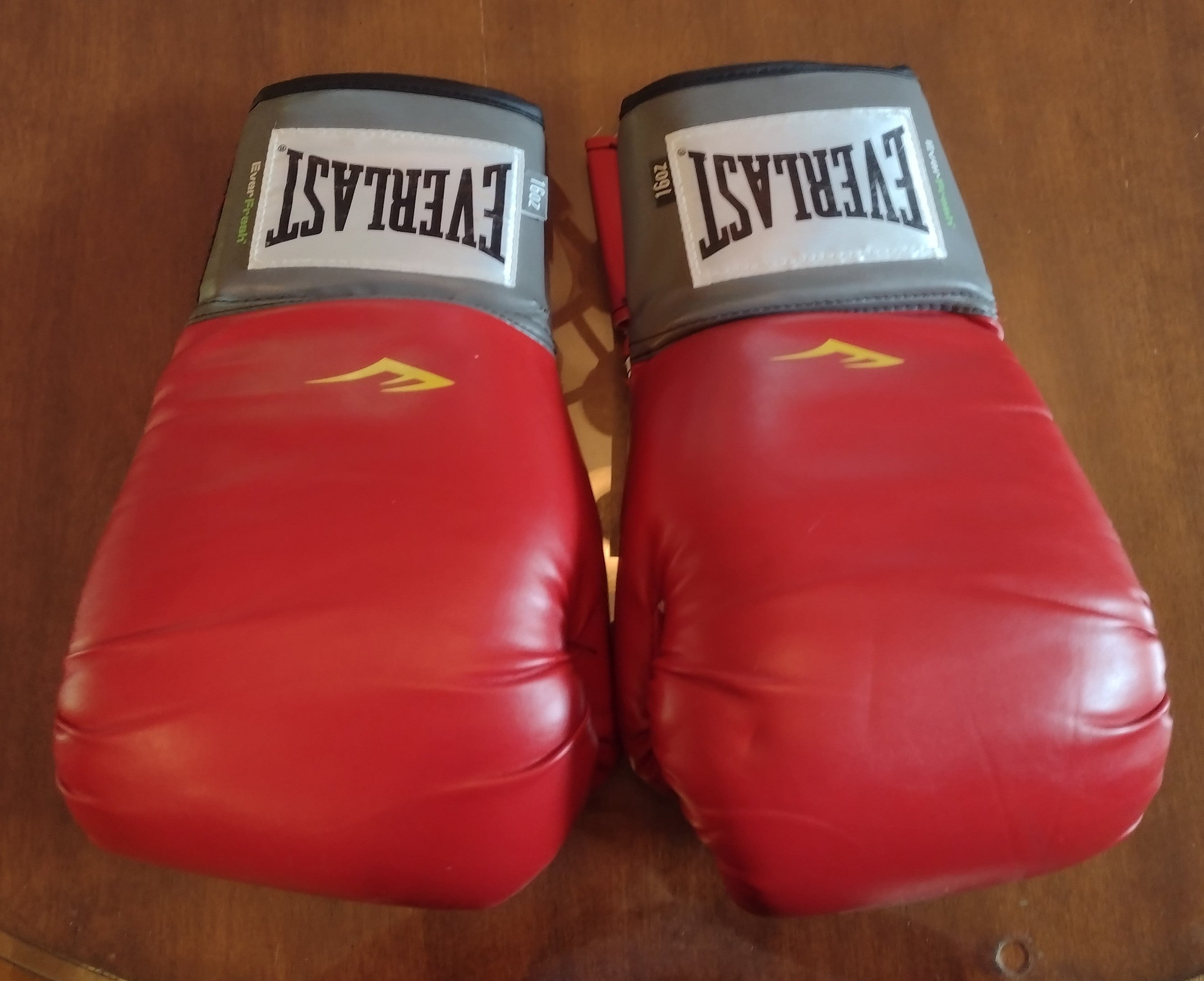 Used Everlast training gloves | SidelineSwap