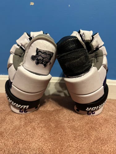 2022 Game Worn Dylan Ward Warrior Goalie Gloves