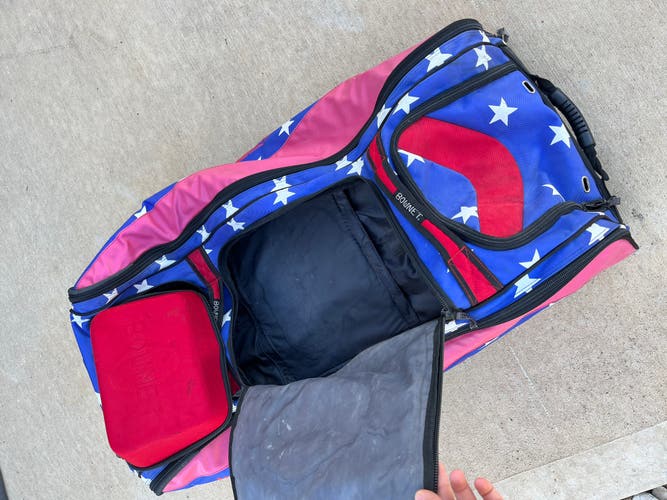 Used Bownet Catcher's Bag