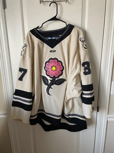 Motte Iowa Heartlanders pro stock goalie  jersey