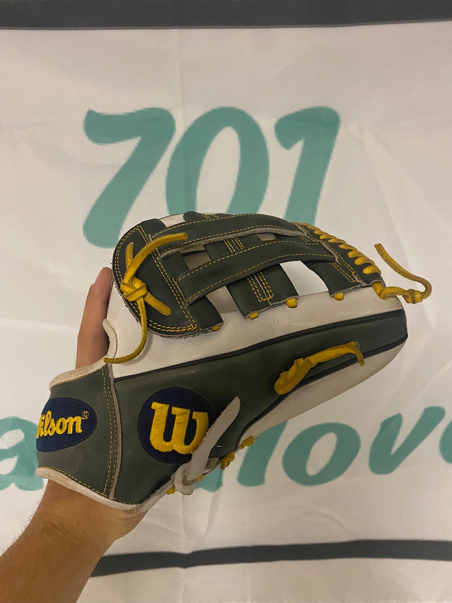 Carolina Baseball on X: Hey @wilsonballglove, appreciate the custom gloves.  We will put them to good use. #GDTBATH  / X