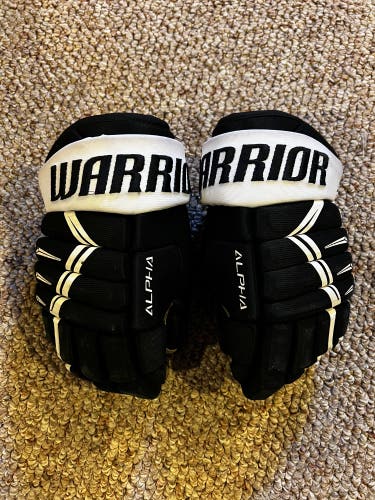 Warrior 11"  Alpha DX4 Gloves