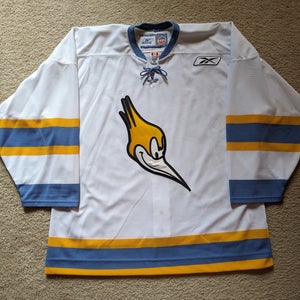Phoenix Roadrunners Alternate Jersey