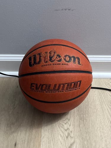 Men's Wilson Evolution Basketball Official Size