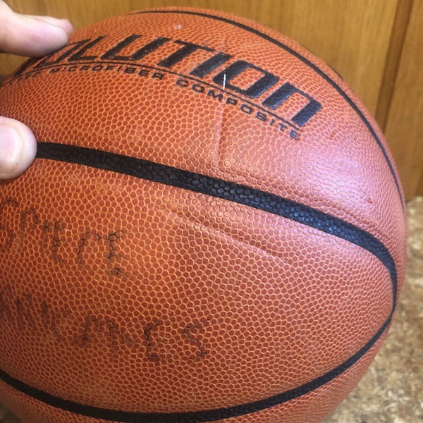 Wilson Evolution Official Game Basketball - 29.5