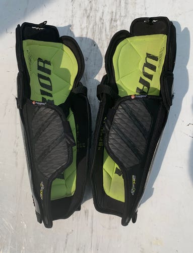 Used Warrior Alpha DX Senior 14" Shin Pads