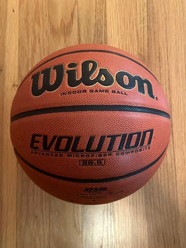 Wilson Evolution Basketball 28.5