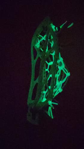 Glow in the Dark Clutch X with Glo Trad