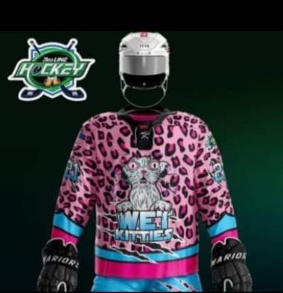 3rd Line Hockey Pink New XXL Adult Unisex Wet Kitties Jersey #17