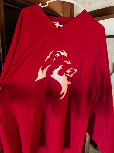 Red NCAA D3 Finlandia hockey jersey