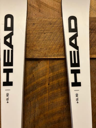 2021/2022  World Cup rebels, e-SL RD, EMC graphite SW technology Skis