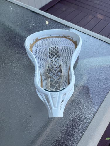 Used Warrior Evo Warp Next Head