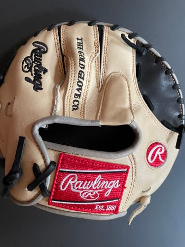 Rawlings Training Glove