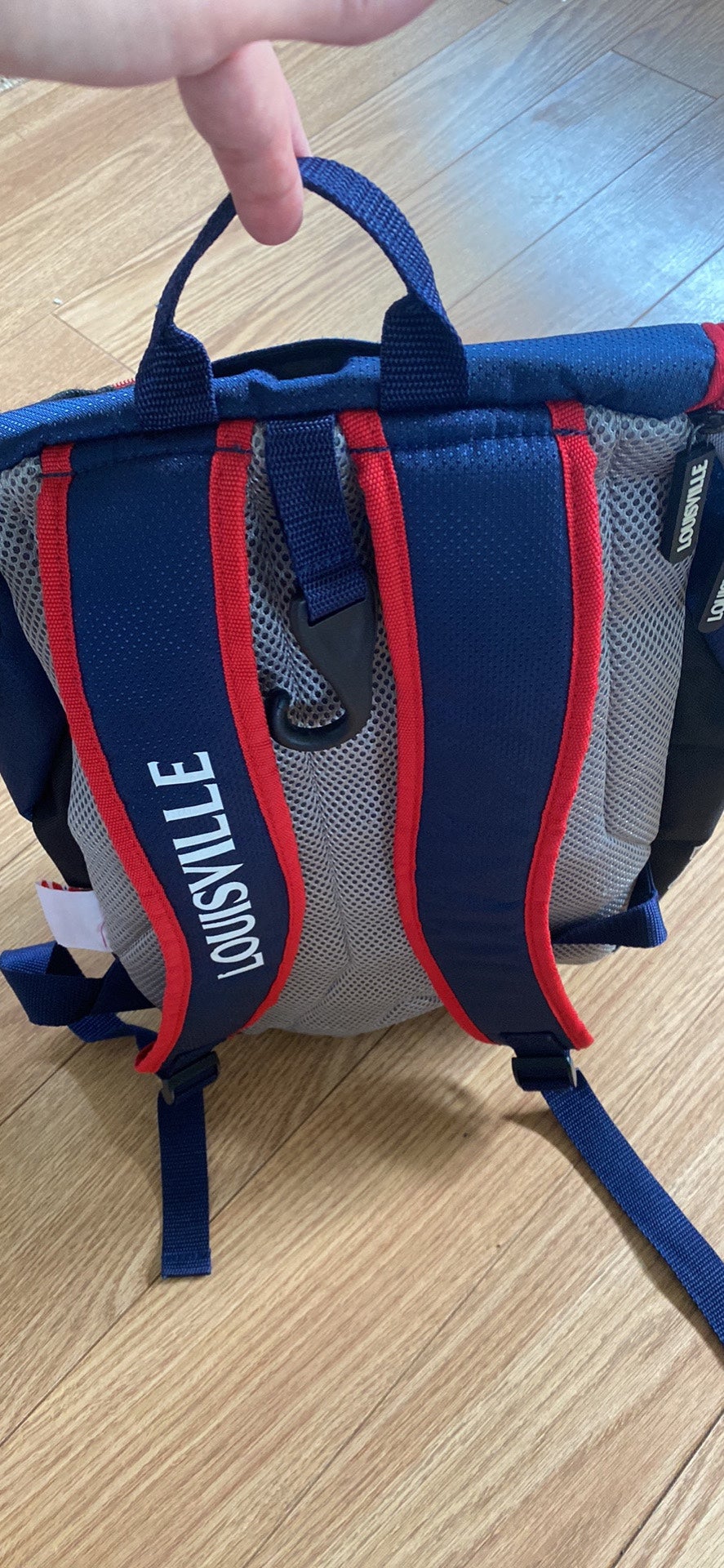 Louisville Slugger Baseball Bag Minnesota Twins | SidelineSwap