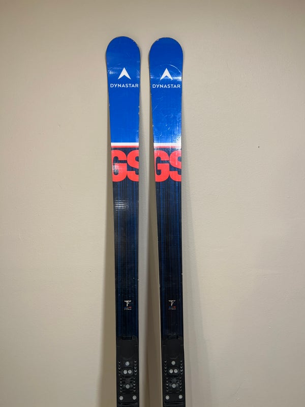 Men's 2022 193 cm Speed WC FIS GS Skis (great Condition) Lots Of Edge