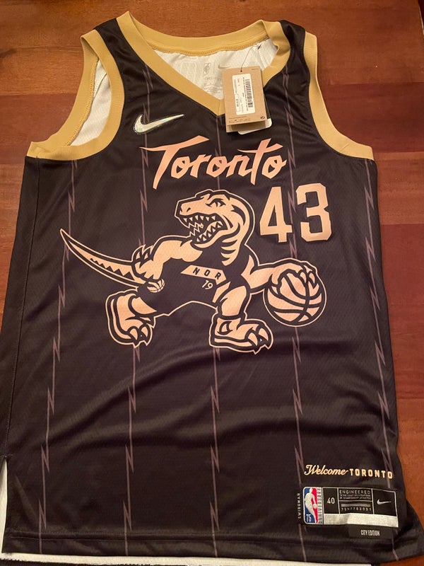 NEW Pascal Siakam 'Tampa Bay Raptors' Nike Men's NBA Custom Jersey (FREE  SHIP)