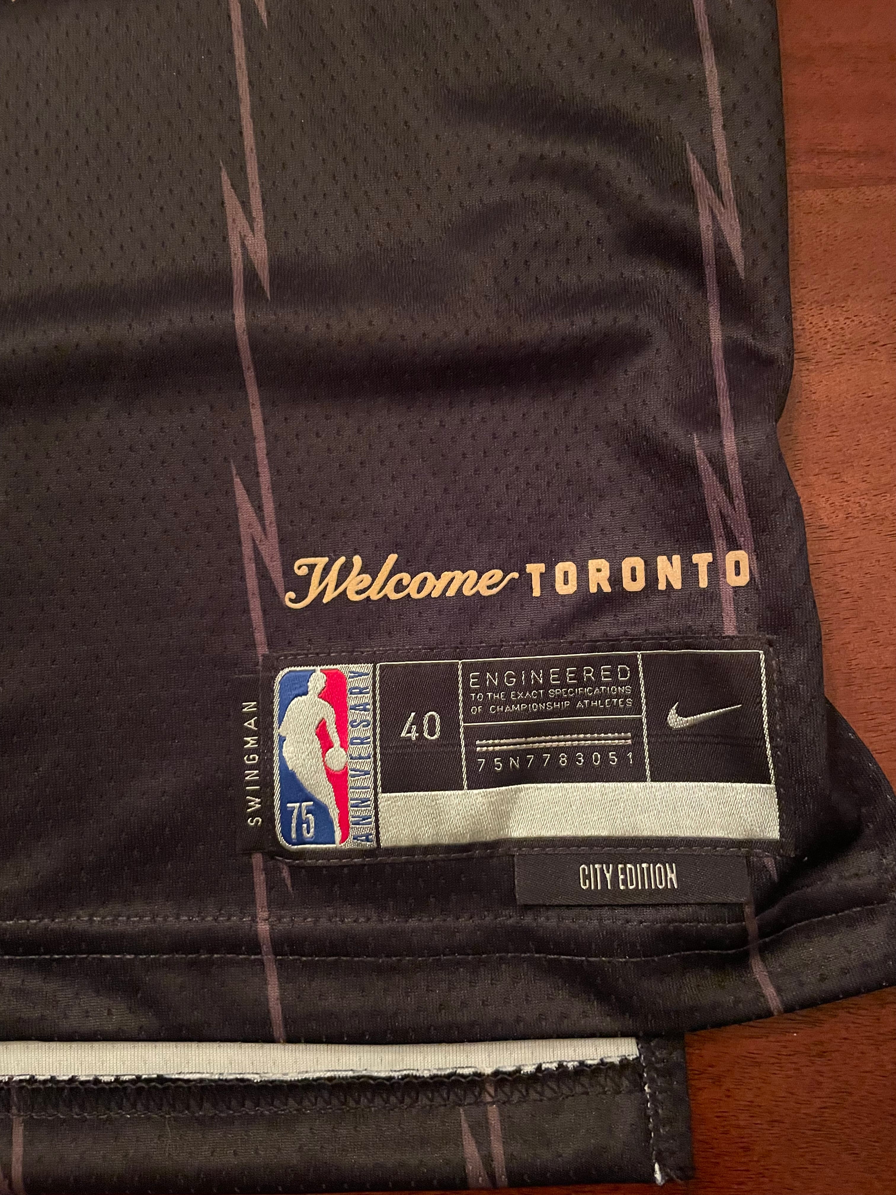 Men's NBA Toronto Raptors City Edition Logo Hoodie