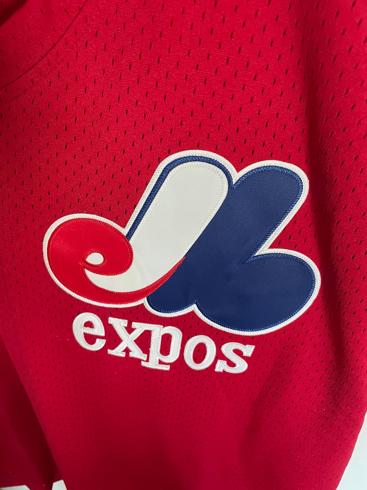 Tim Raines Montreal Expos Home w/ Team Patch White Jersey Men's (M-2XL)