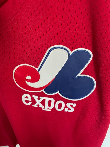 Tim Raines Montreal Expos Mitchell & Ness Men's MLB BP Jersey 3XL
