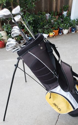 FULL SET LADIES GINTY GOLF CLUBS 3 WOODS 9 IRONS STAND BAG PUTTER & EXTRAS EXCELL