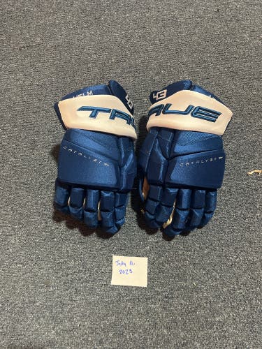 Game Used Blue True Catalyst 9X Pro Stock Gloves Colorado Avalanche Helm 14”