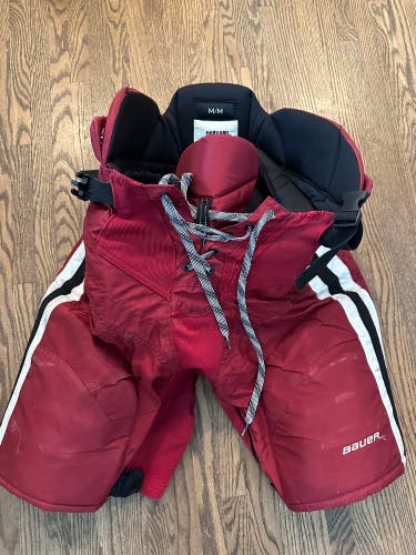 Used Harvard Senior Medium Bauer Nexus Custom Pro Hockey Pants