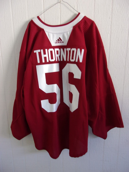 ARIZONA COYOTES Anson Thornton #34 worn white goalie-cut size 58G