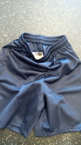 Blue New Large Boys Alleson Shorts