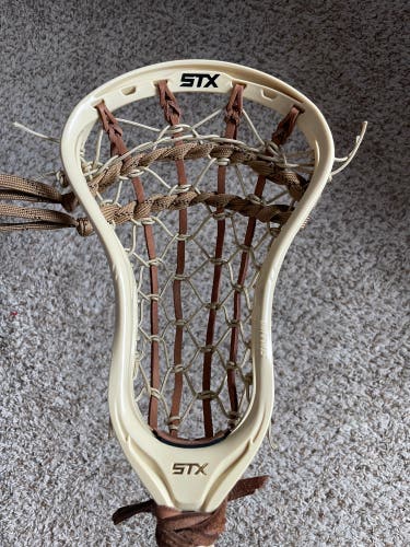 Traditional Strung STX Stallion Head New