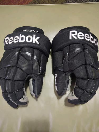 Eric Wellwood Reebok 11K Gloves 14" Pro Stock -- Flyers