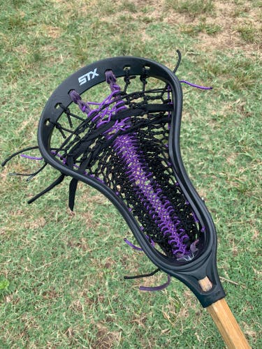 Black Traditional Style STX Stallion Head