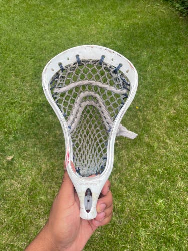 Warrior Strung Evolyte Head