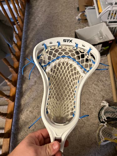 BN STX Stallion U 550 Head