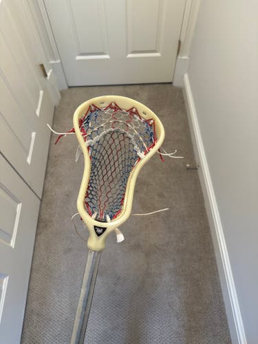 Used BONE ECD DNA Head