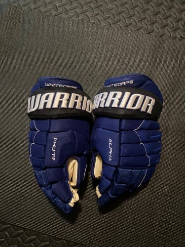 MN Whitecaps warrior hockey gloves