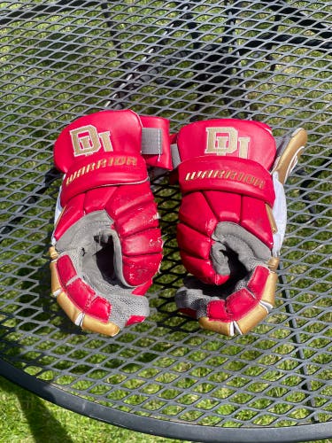 University of Denver Gloves