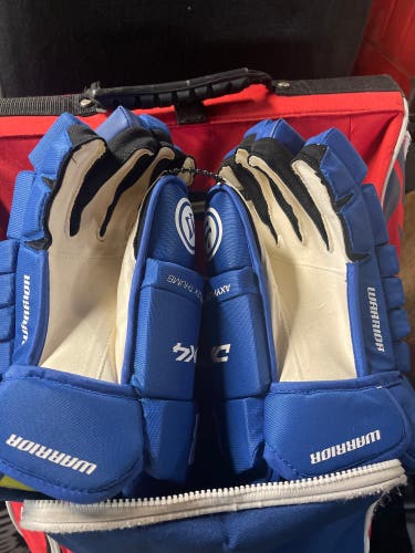 Warrior 15"  Alpha DX4 Gloves