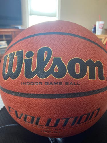 Wilson Evolution Basketball