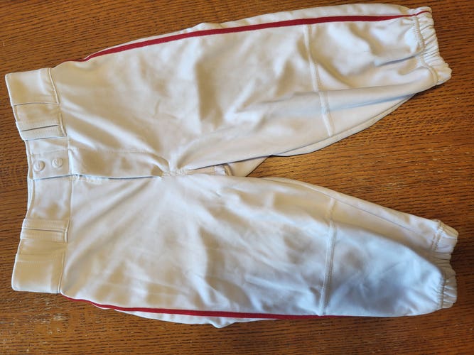 White w/ red pin strpes Youth Unisex Large Champro knickers