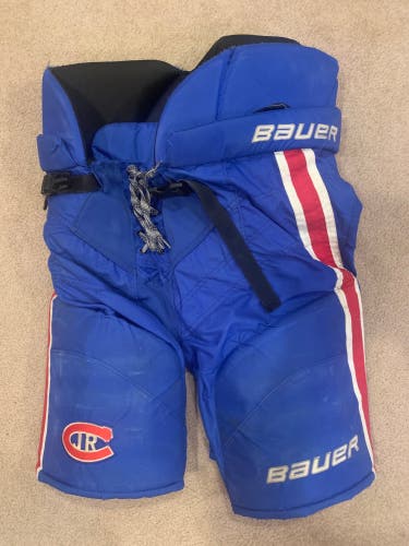 Senior Large Bauer Nexus Hockey Pants