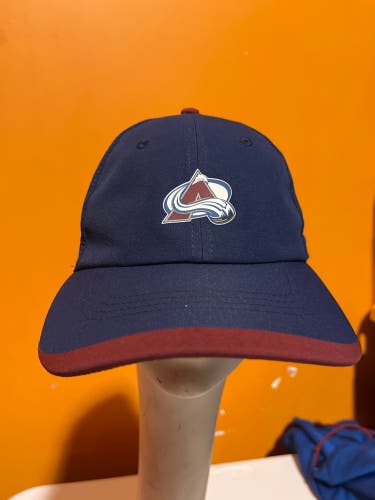 Used Blue Fanatics Colorado Avalanche Team Issued Hat #46