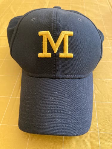 Michigan Wolverines Jordan Brand Hat