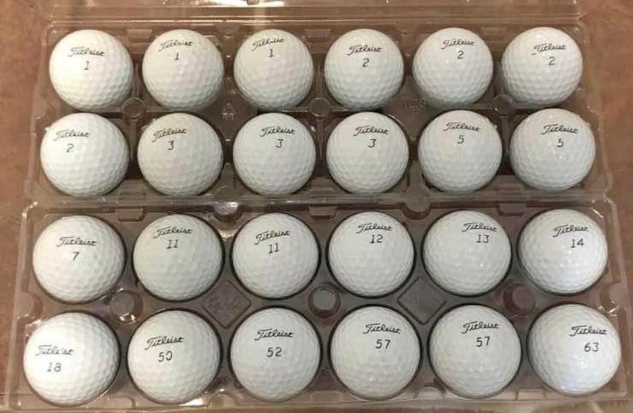 Used Titleist Pro V1 Balls 24 Pack (2 Dozen)