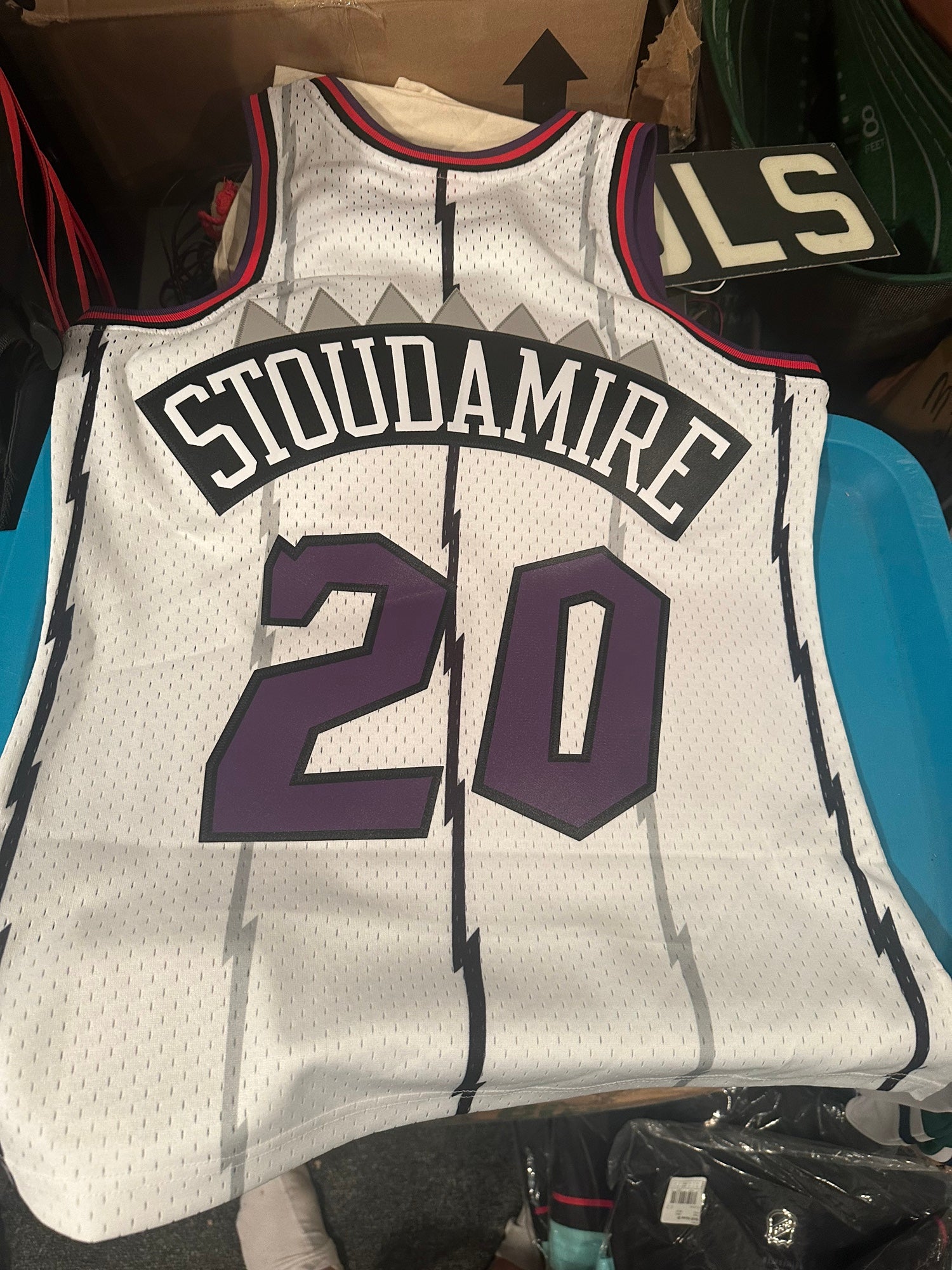 Men's Damon Stoudamire Toronto Raptors Mitchell & Ness 1995-96 Hardwood Classics Swingman Jersey - Purple