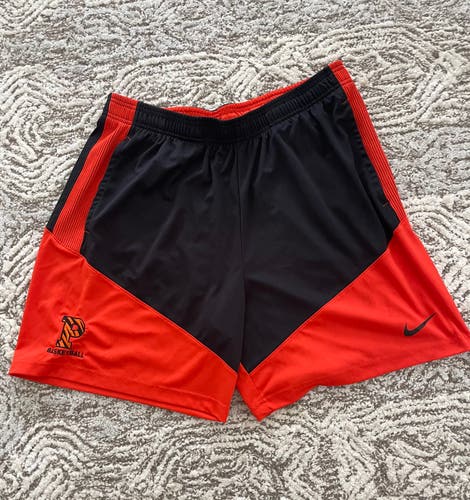 Princeton Basketball Nike Dri-Fit Athletic Shorts (XL)
