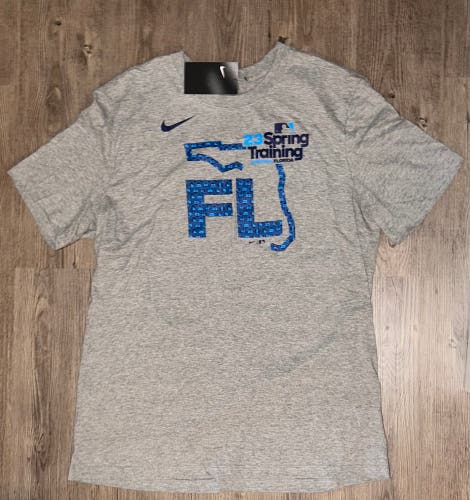 Nike Men’s Large Gray 2023 Spring Training Grapefruit League T-Shirt
